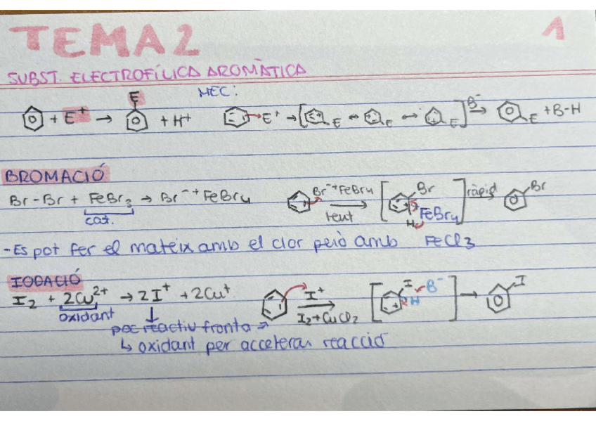 Miniatura del documento tema-2.pdf