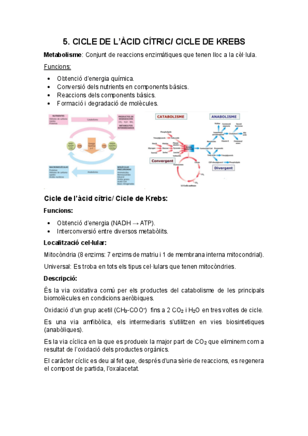 Miniatura del documento Apuntes-Bioquimica-Tema-5-Cicle-de-l'àcid-cítric.pdf