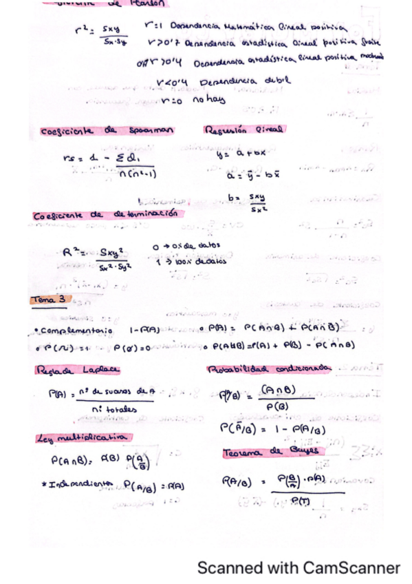 Miniatura del documento FormularioESTADISTICA.pdf