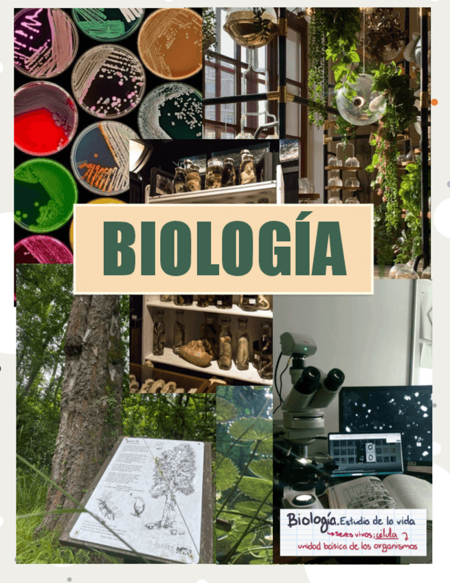 Miniatura del documento Biologia.pdf