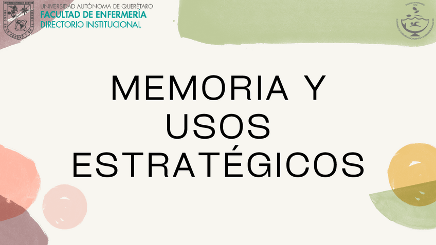 Miniatura del documento Memoria-y-Usos-Estrategicos.pdf