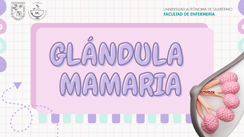 Miniatura del documento Glandula-Mamaria.pdf