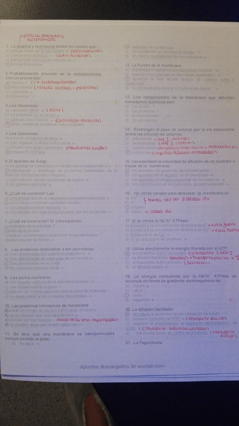 Miniatura del documento IMG_20181013_211501.jpg