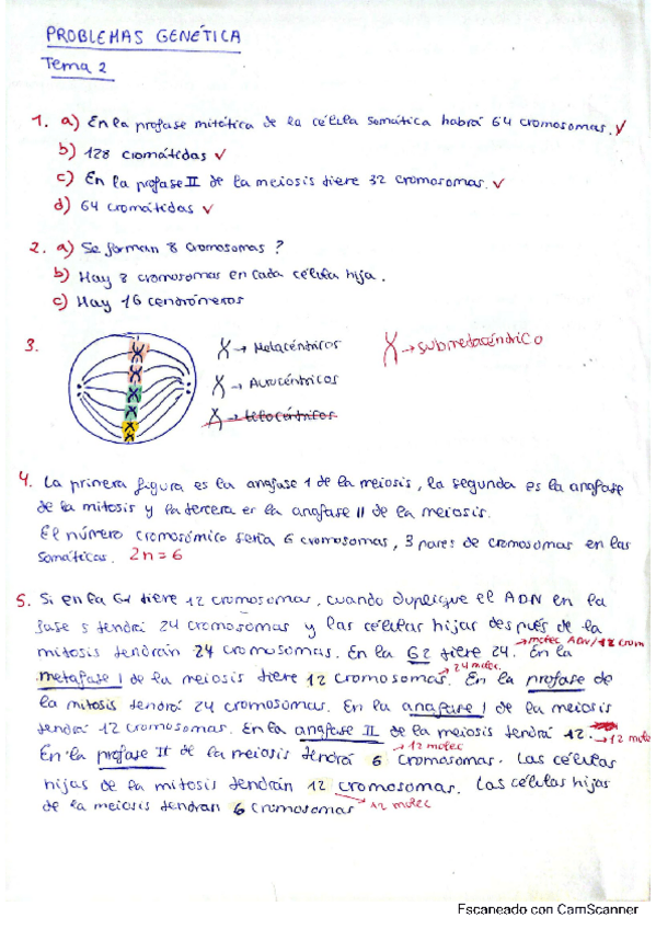 Miniatura del documento problemas-genetica-primer-cuatri.pdf
