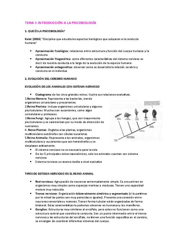 Miniatura del documento Tema-1-Psicobiologia.pdf