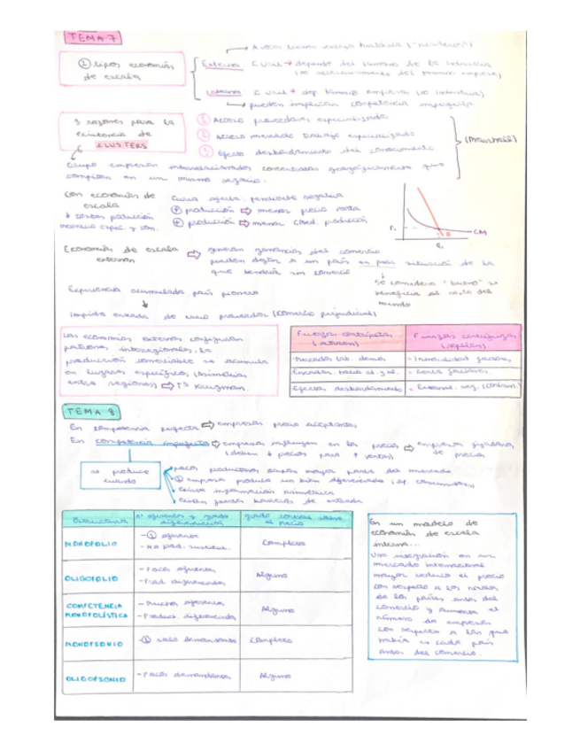 Miniatura del documento Apuntes-temas-789.pdf