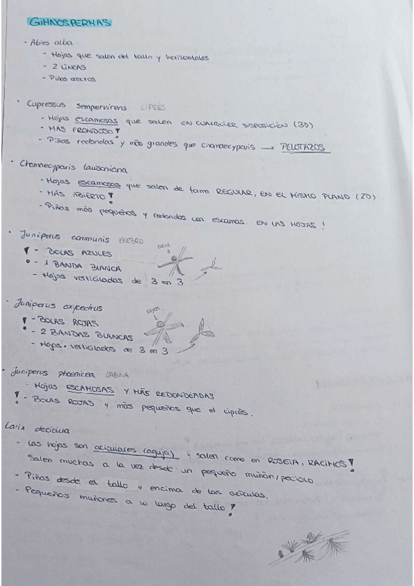 Miniatura del documento Visu.pdf
