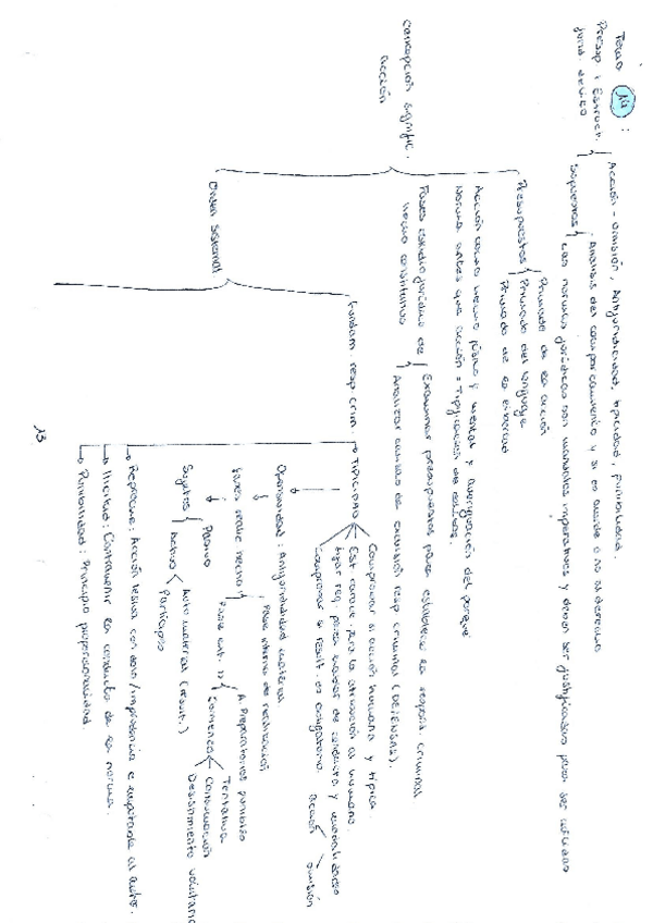 Miniatura del documento tema-14-resumen.pdf