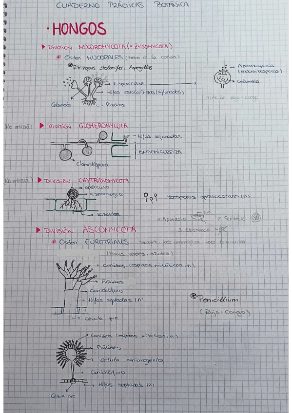Miniatura del documento Cuaderno-practicas.pdf