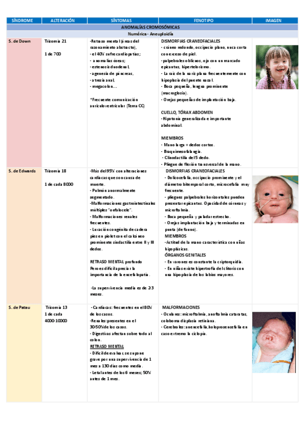 Miniatura del documento TABLA-ENFERMEDADES-GENETICA.pdf