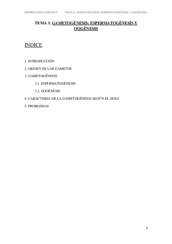 Miniatura del documento Embriologia-apuntes.pdf