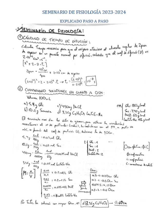 Miniatura del documento SEMINARIO-EXPLICADO-2024-FISIOLOGIA.pdf