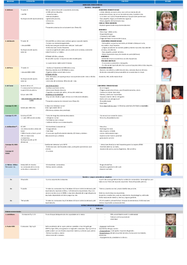 Miniatura del documento RESUMEN-ENFERMEDADES.-TABLA-GENETICA-Dina3.pdf