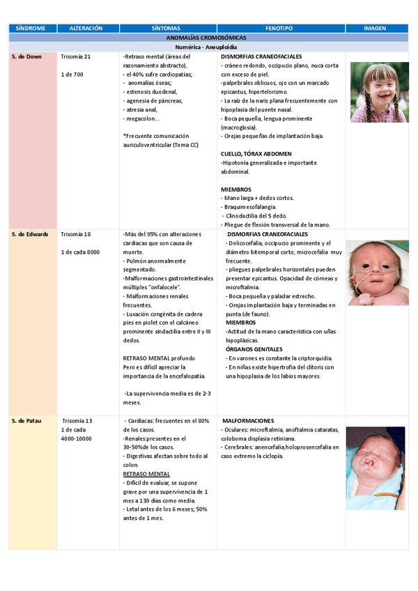 Miniatura del documento TABLA-RESUMEN-GENETICA-actualizada.pdf