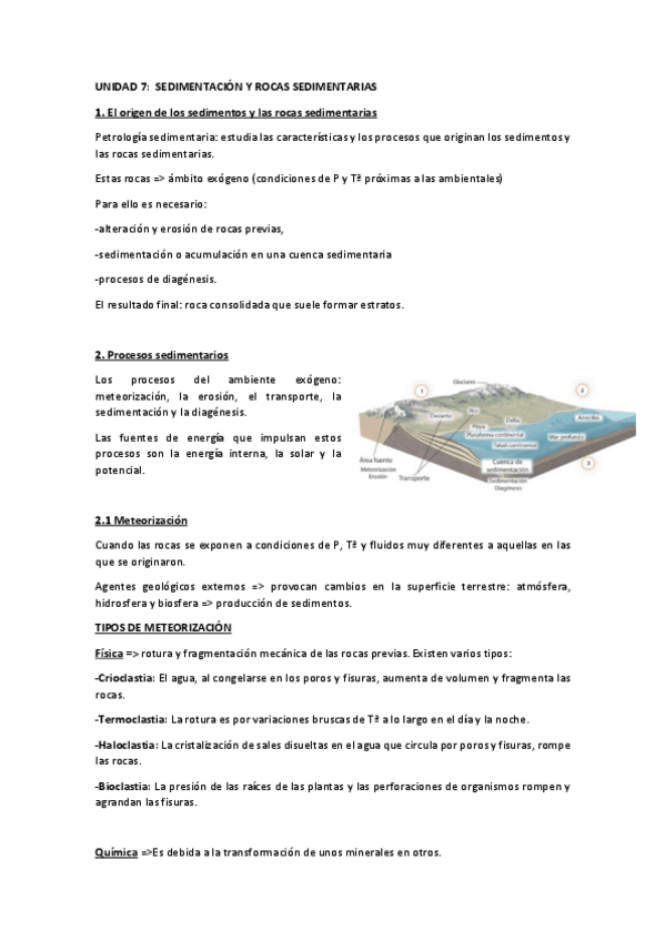 Miniatura del documento T7-Sedimentacion-y-rocas-sedimentarias.pdf
