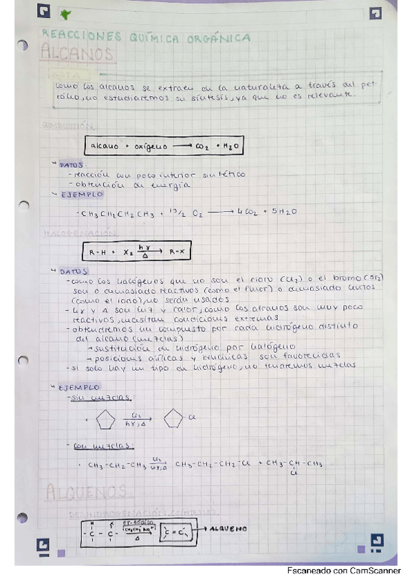 Miniatura del documento APUNTES-PARCIAL-2.pdf