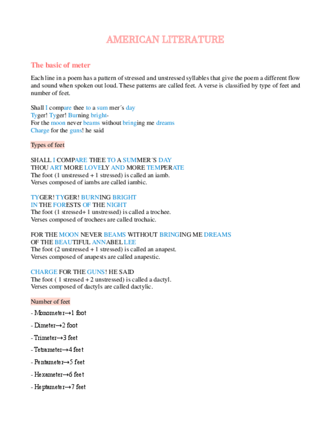 Miniatura del documento American-literature-notes.pdf