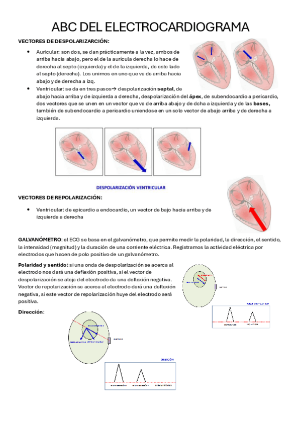 Miniatura del documento ABC-DEL-ECG.pdf
