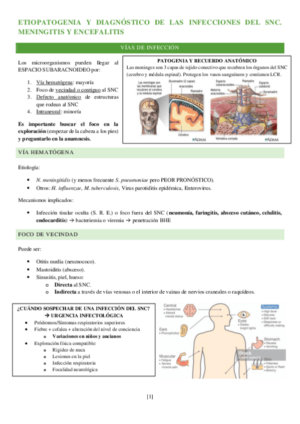 Miniatura del documento tema-infecciones-del-SNC.pdf