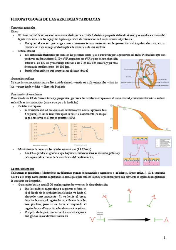 Miniatura del documento tema-bloque-II-arritmias-cardiacas-PG.pdf
