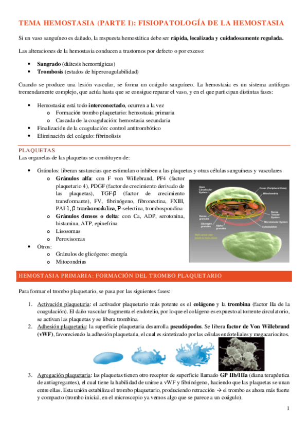 Miniatura del documento tema-hemostasia-parte-I-PG.pdf