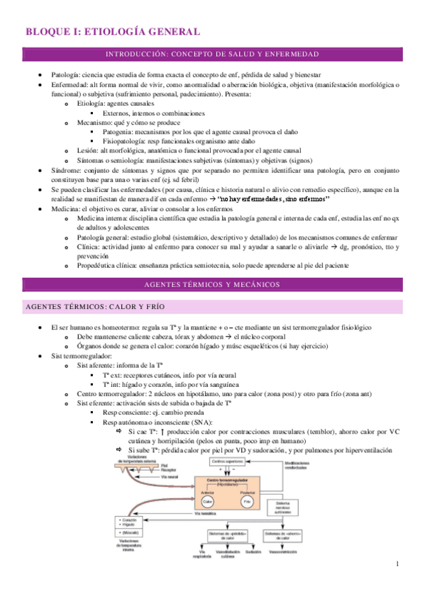 Miniatura del documento resumen-bloque-I-PG.pdf