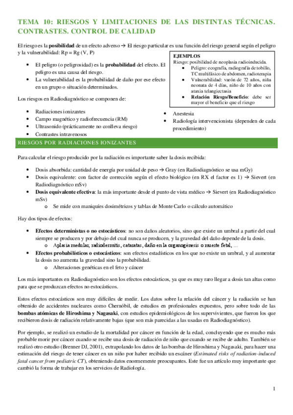 Miniatura del documento tema-10-riesgos-rayos.pdf