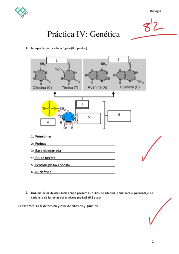 Miniatura del documento PRACTICA-IV.pdf