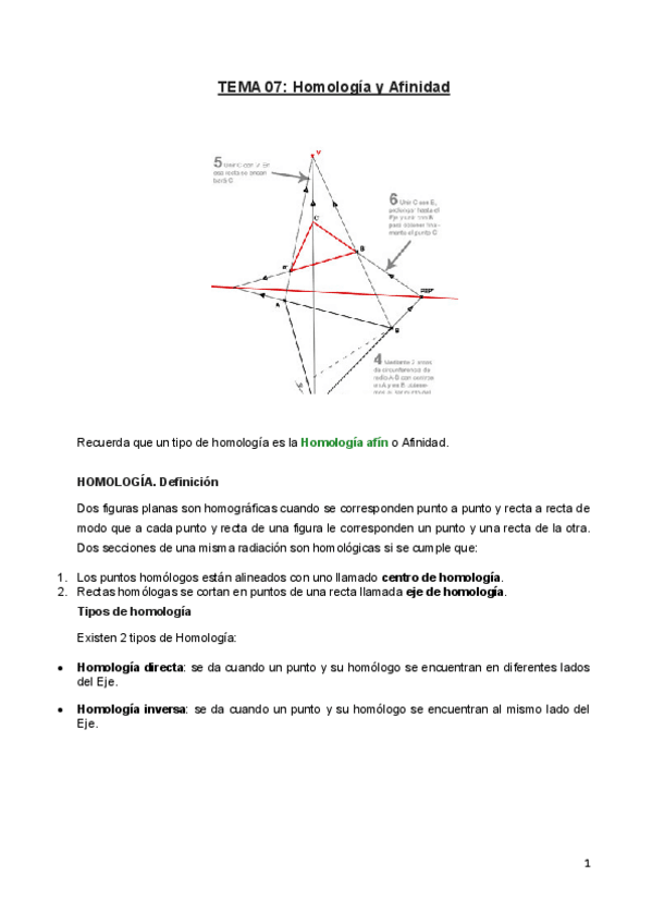 Miniatura del documento UD07_HOMOLOGIA Y AFINIDAD.pdf