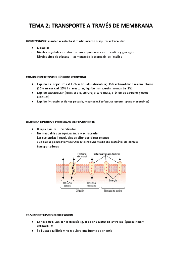 Miniatura del documento FISIOLOGIA-TEMA-2.docx.pdf