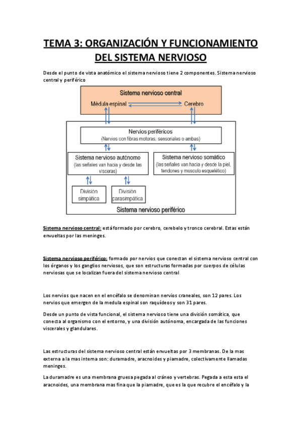 Miniatura del documento FISIOLOGIA-TEMA-3.docx.pdf