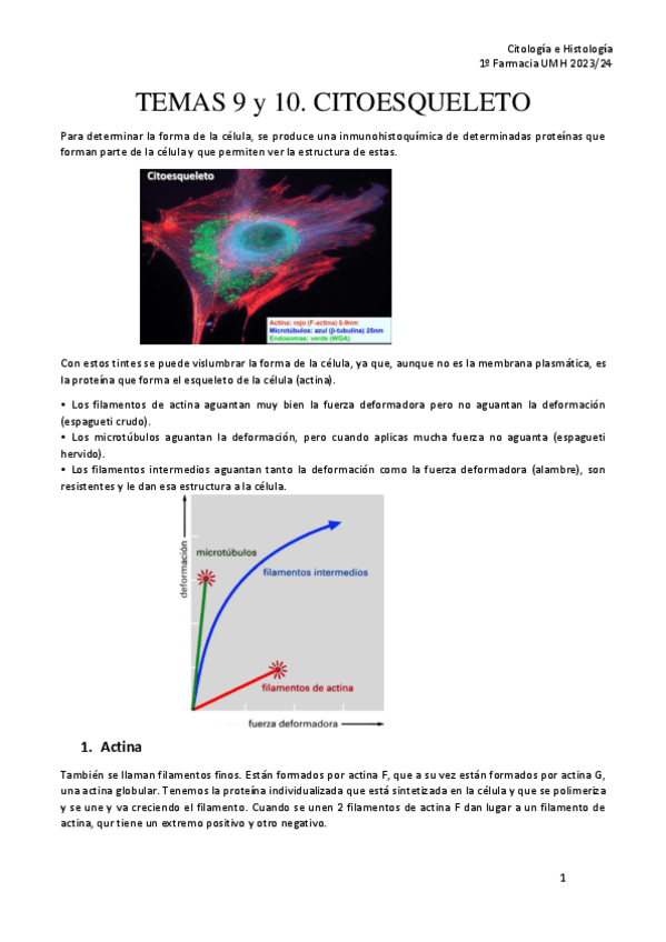 Miniatura del documento TEMA-9-y-10.-CITOESQUELETO-CH.pdf
