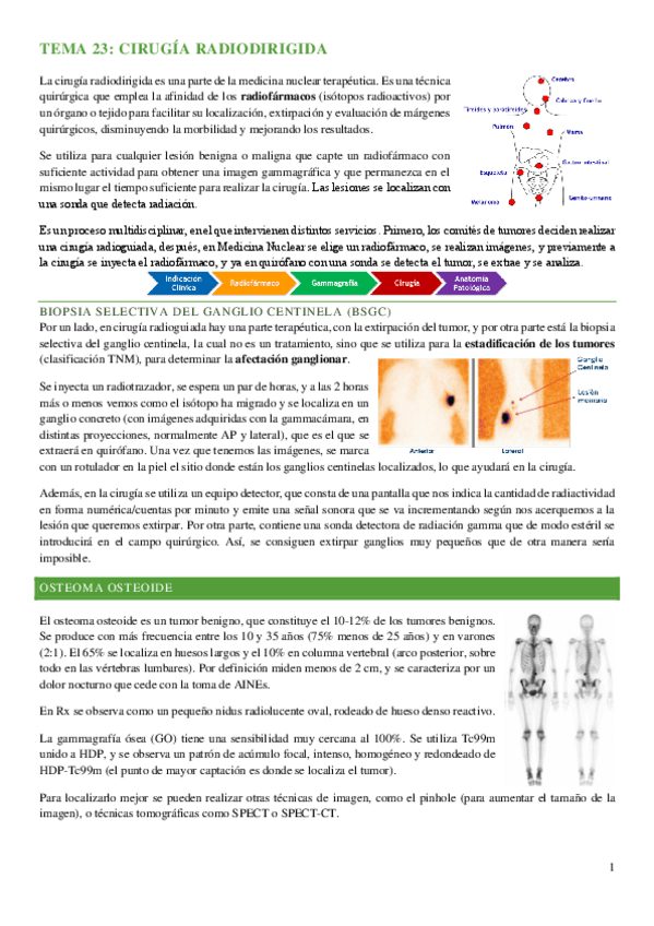 Miniatura del documento tema-23-cirugia-radiodirigida-MN.pdf
