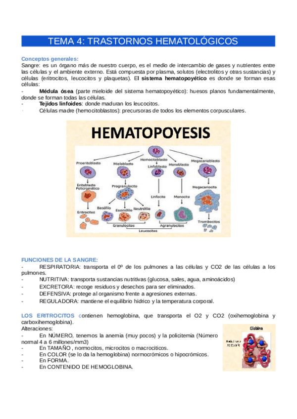 Miniatura del documento TEMA-4.pdf
