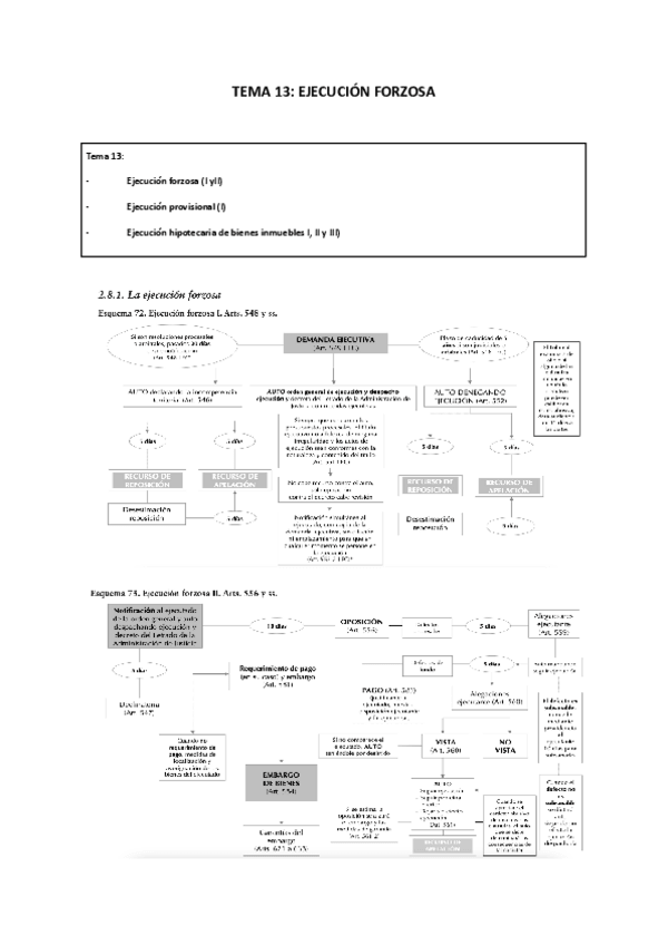 Miniatura del documento TEMA-13-PROCESAL-CIVIL.pdf