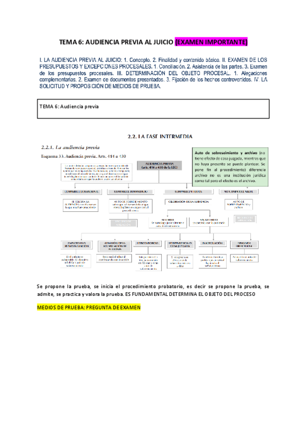 Miniatura del documento TEMA-6-PROCESAL-CIVIL.pdf