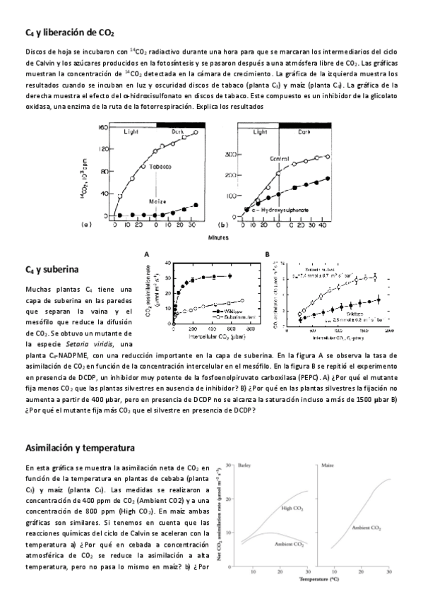 Miniatura del documento 5-FotorrespiraciAn.pdf