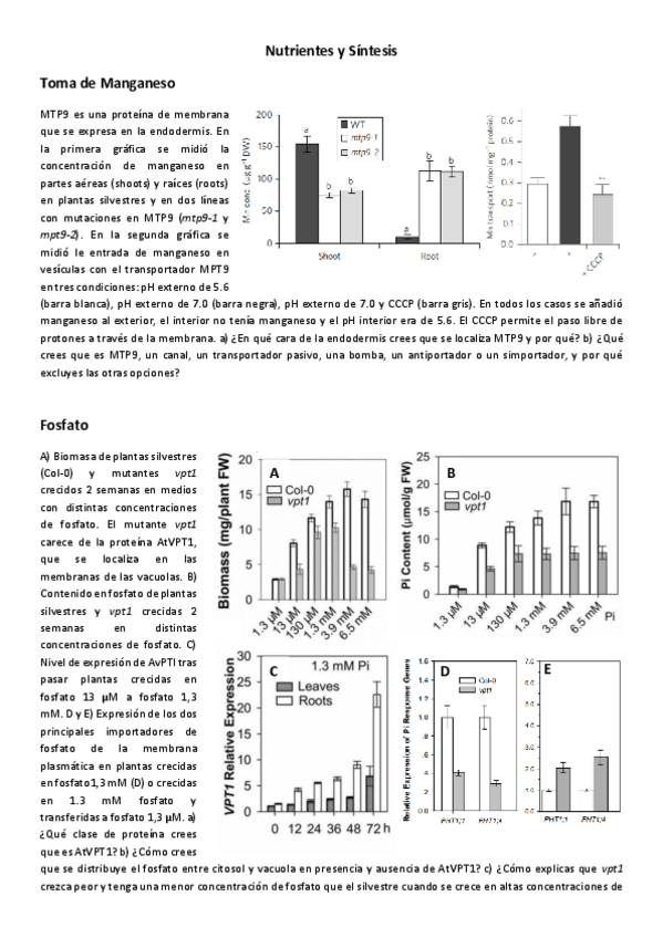 Miniatura del documento 7-Nutrientes-y-sAntesis.pdf