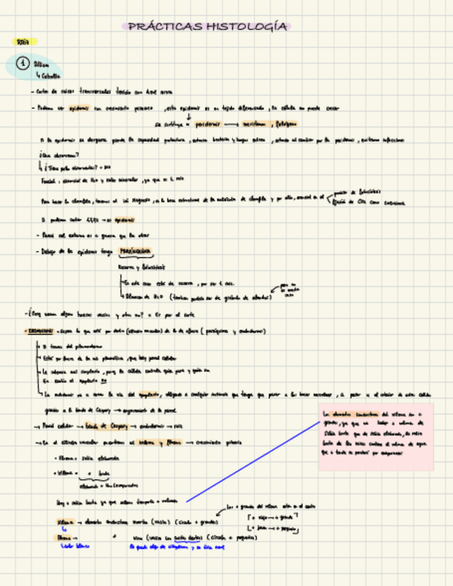 Miniatura del documento Practicas-Histologia-23-24.pdf