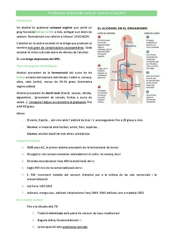 Miniatura del documento Problemes-relacionats-amb-el-consum-dalcohol.pdf