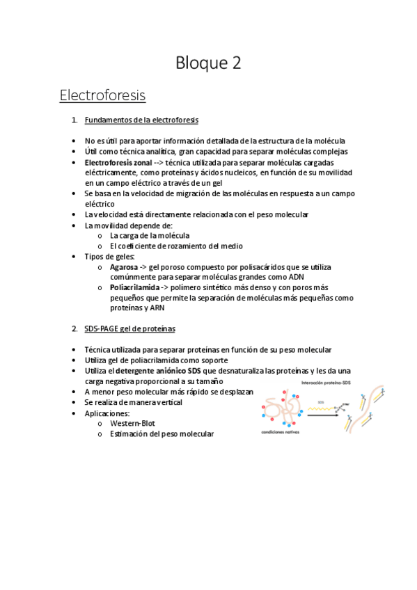 Miniatura del documento Tecnicas-Bloque-II.pdf