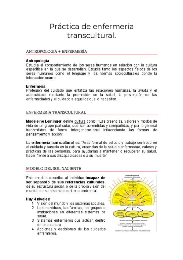 Miniatura del documento Practica-Enfermeria-Transcultural.pdf