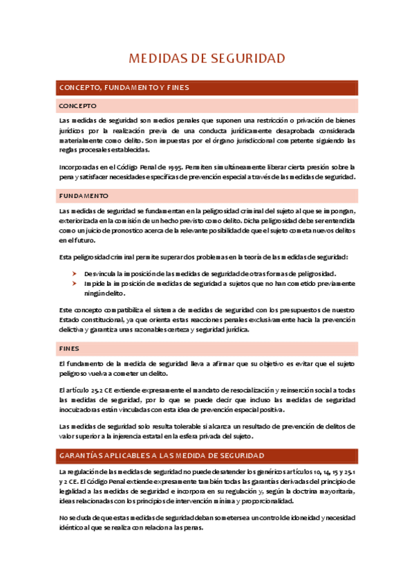 Miniatura del documento T11-Las-medidas-de-seguridad.pdf