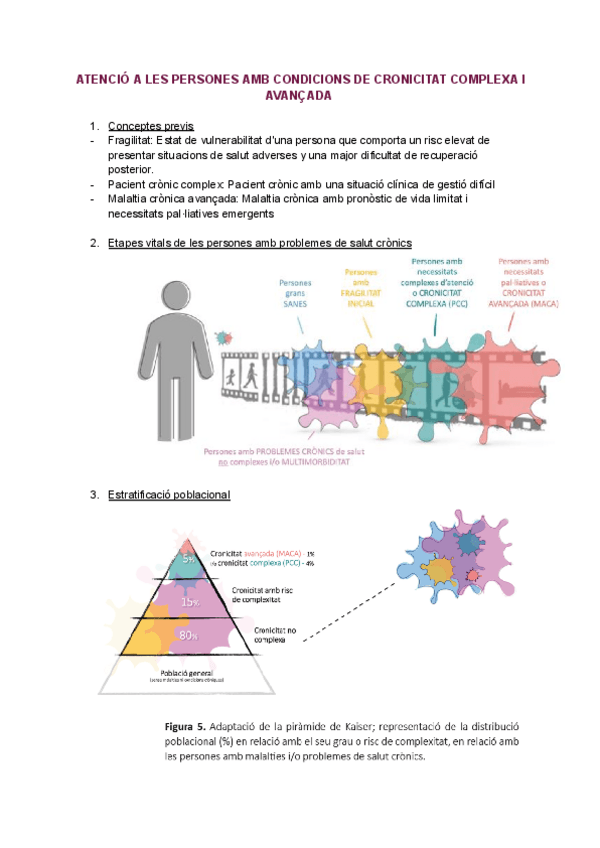 Miniatura del documento Cures-atencio-a-persones-amb-condicions-complexes.pdf