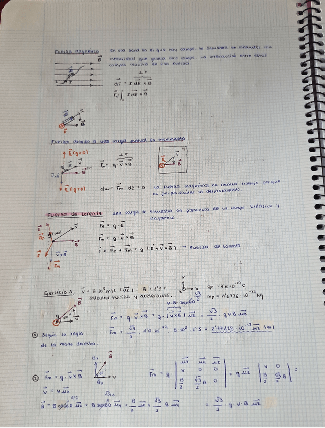 Miniatura del documento Bloque-4.-Campo-magnetico.pdf