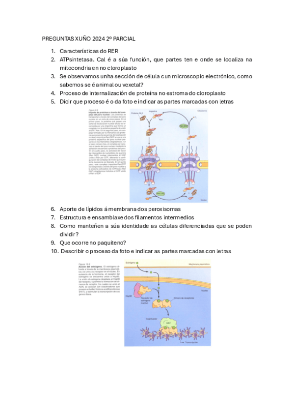 Miniatura del documento PREGUNTAS-XUNO-2024-2o-PARCIAL.pdf