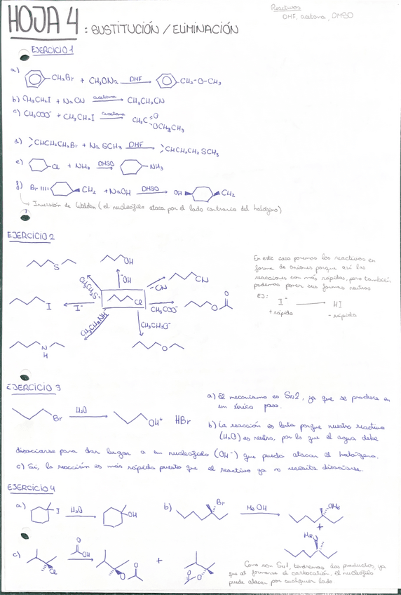 Miniatura del documento Hoja-sustitucion-y-eliminacion.pdf