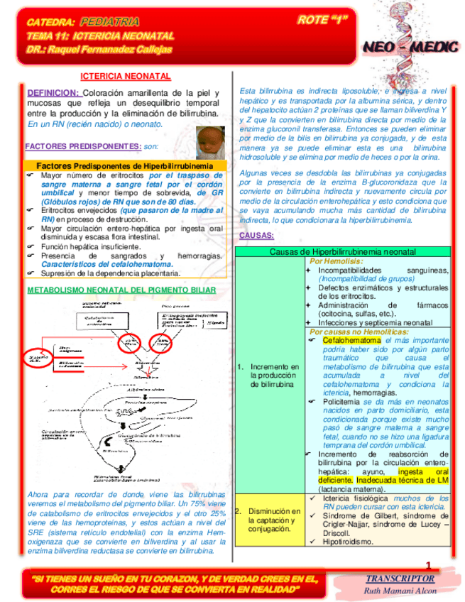 Miniatura del documento 11.-ICTERICIA-NEONATAL-Dra-Fernandez.pdf