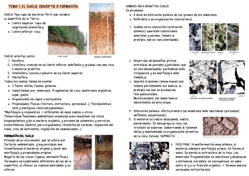 Miniatura del documento APUNTES-COMPLETOS-EDAFOLOGIA.pdf
