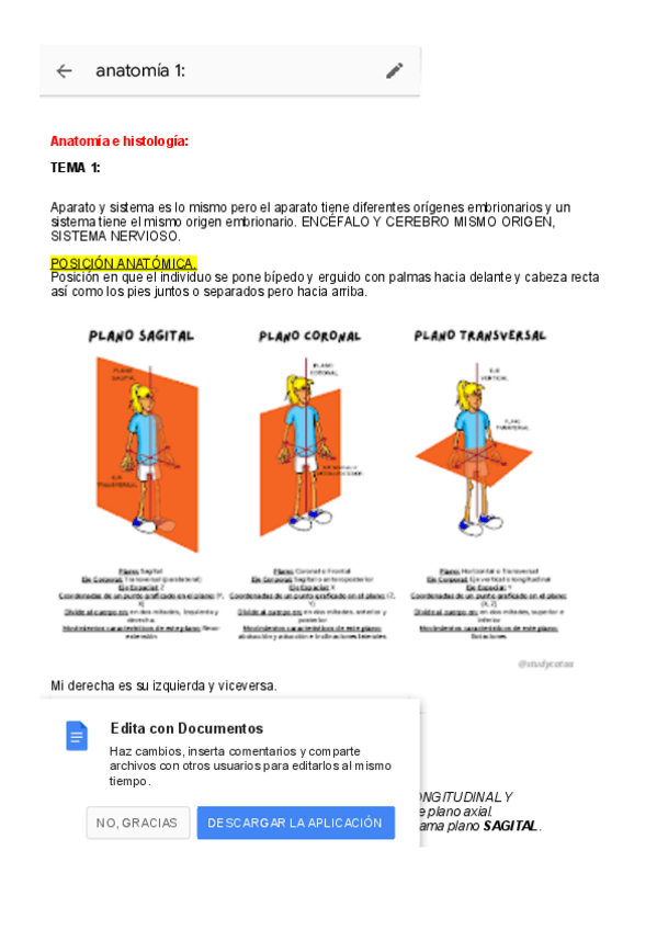 Miniatura del documento anatomia-1-.pdf